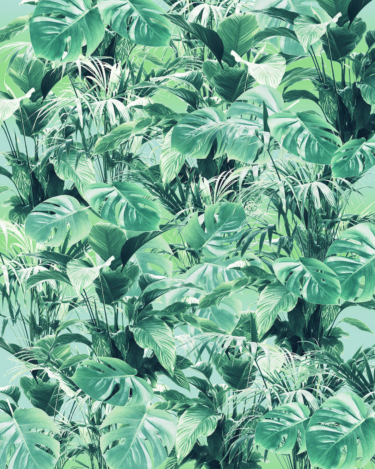 VLIESTAPETE  - Natur (200/250cm) - Komar