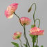 KUNSTBLUME Mohn - Rosa/Grün, Trend, Kunststoff (38cm) KUNSTBLUME Mohn - Rosa/Grün, Trend, Kunststoff (38cm)