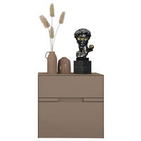 TV-ELEMENT Taupe  60/59/47 cm  - Taupe, Design, Holzwerkstoff (60/59/47cm) - Novel