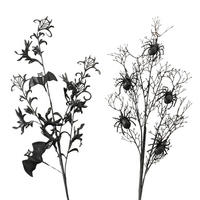 DEKOPFLANZE  - Schwarz, Basics, Kunststoff (79/22/5cm)