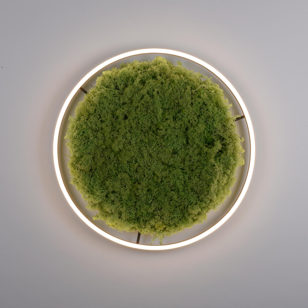WANDLEUCHTE Ritus 58,5/58,5/5,3 cm   - Natur, Naturmaterialien/Kunststoff (58,5/58,5/5,3cm)