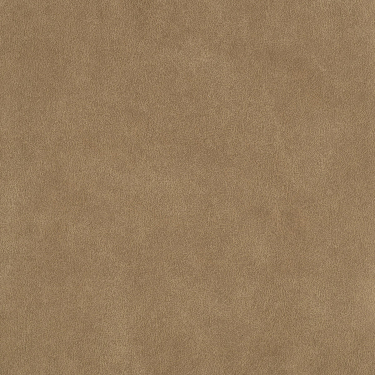 SESSEL Mikrofaser Senfgelb  - Senfgelb/Schwarz, Konventionell, Kunststoff/Textil (104/98/91cm) - Elegando