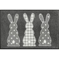 FUSSMATTE 50/75 cm Bunny Trio  - Grau, Trend, Kunststoff/Textil (50/75cm) - wash+dry