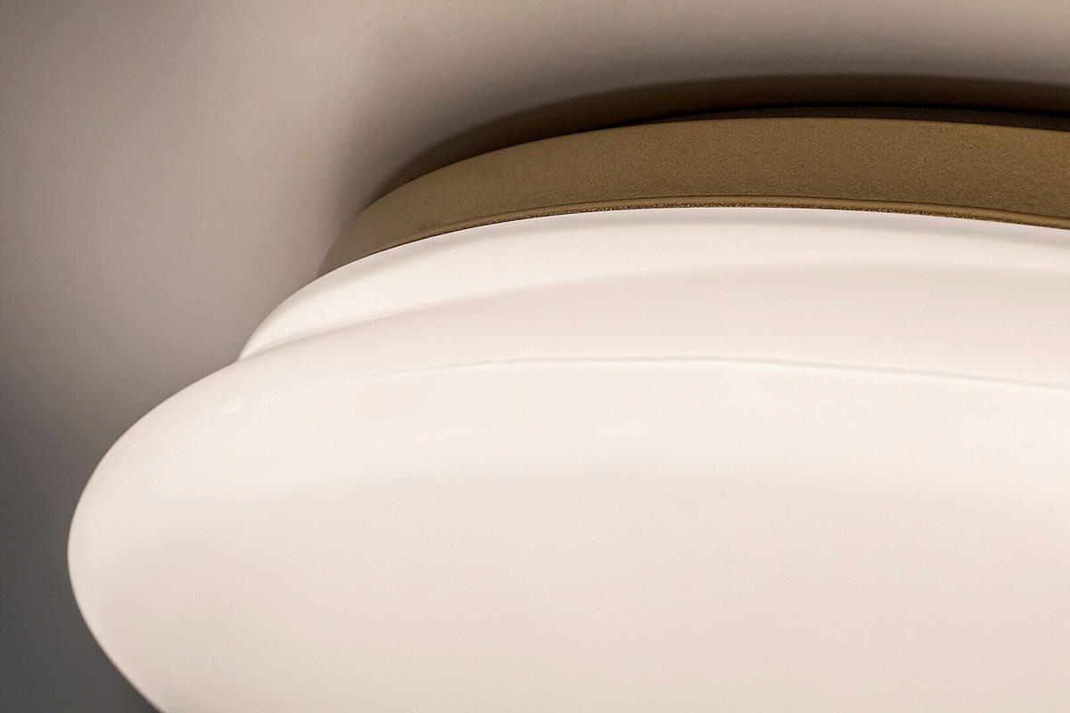 LED PLAFONJERA ZA KUPATILA - bela/zlatna, Osnovno, metal/plastika (41/39,5/10cm)