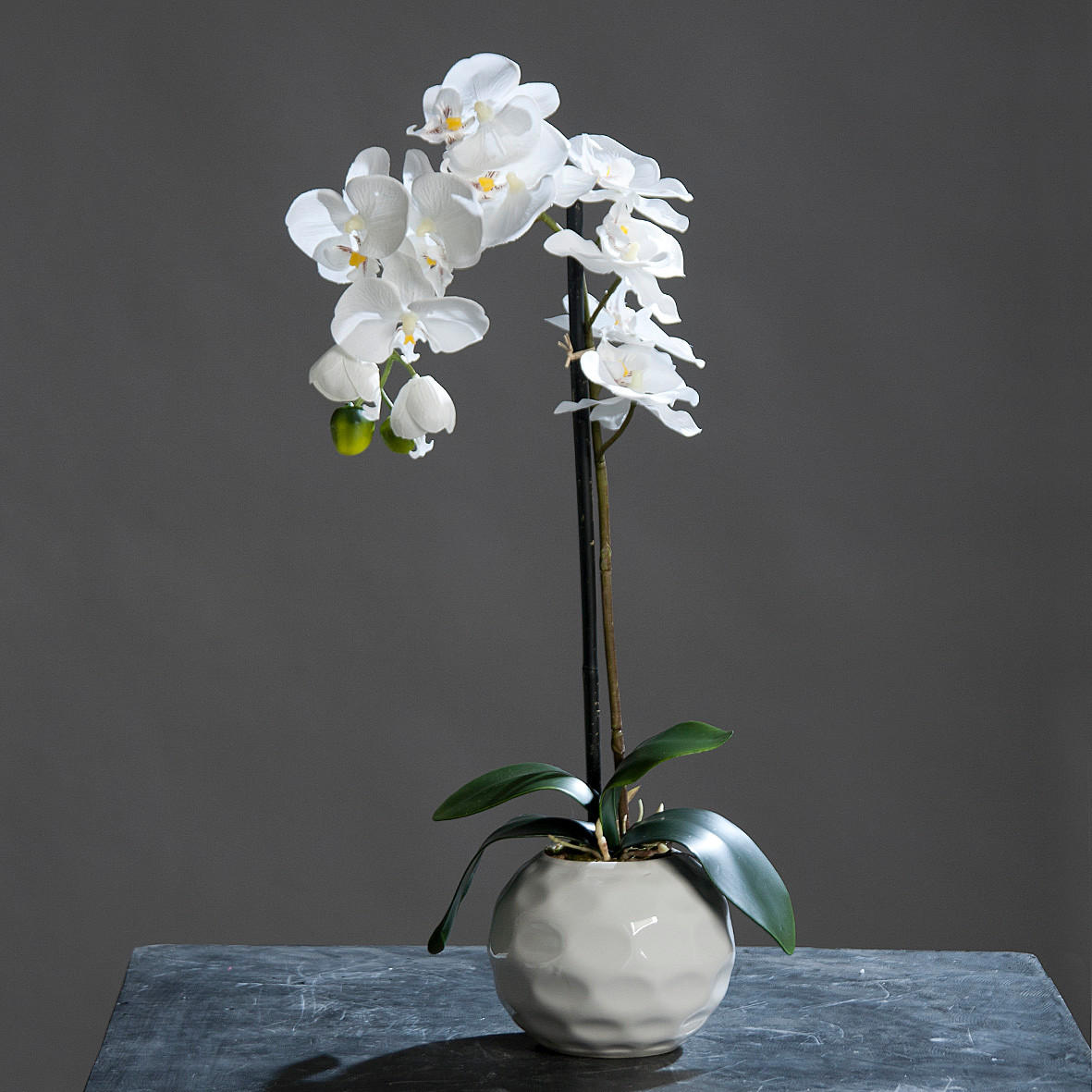 ORHIDEJA - krem, Konvencionalno, tekstil/plastika (46cm)