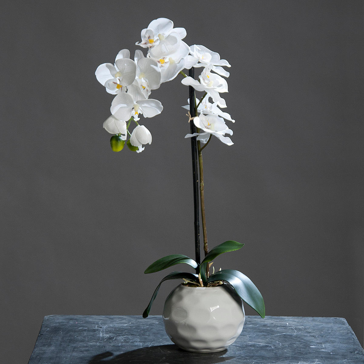 ORHIDEJA - krem, Konvencionalno, tekstil/plastika (46cm)