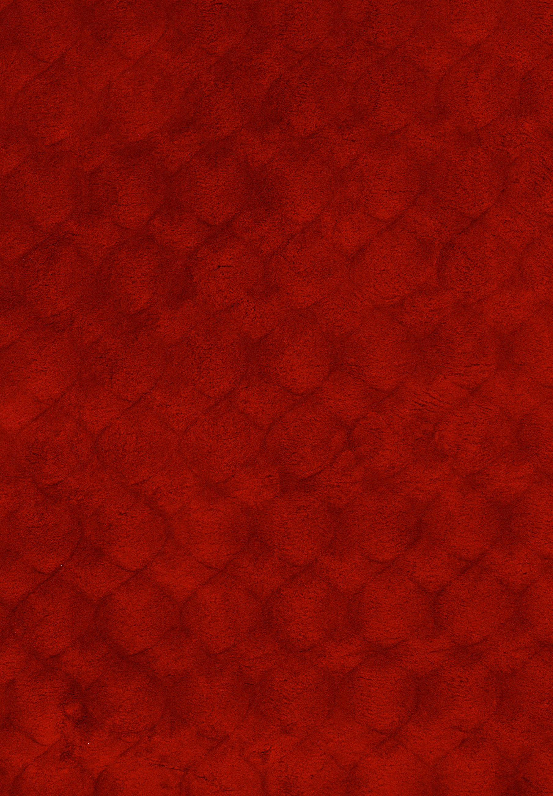 HOCHFLORTEPPICH 200/290 cm My Diamond Rot  - Rot, Design, Textil (200/290cm) - Obsession