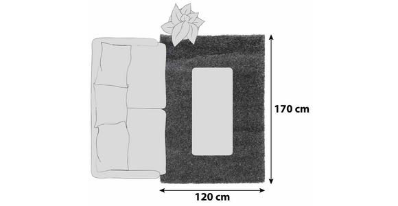 HOCHFLORTEPPICH 120/170 cm Fashion Shaggy Dunkelgrau - Dunkelgrau, Basics, Textil (120/170cm) - Novel