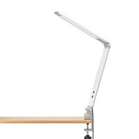 LED-KLEMMLEUCHTE 5/38 cm   - Hellgrau, Basics, Metall (5/38cm) - Fischer & Honsel