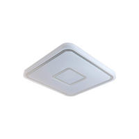LED MENNYEZETI LÁMPA - fehér, Basics, műanyag/fém (43cm)