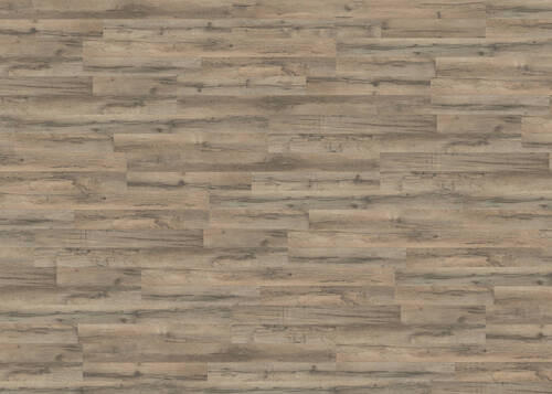 LAMINATBODEN Living by HARO Laminat Sonderedition NKL 31  per  m² - Graphitfarben, Basics, Holzwerkstoff (19.3/128.2cm) - Living by HARO