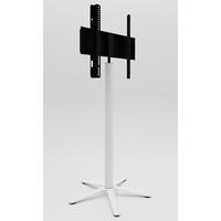 TV-RACK Metall Weiß  - Weiß, Basics, Metall (61,1/100/61,1cm) - MID.YOU