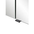 SPIEGELSCHRANK 80/64/20 cm - Schwarz/Graphitfarben, KONVENTIONELL, Glas/Holzwerkstoff (80/64/20cm) - Xora