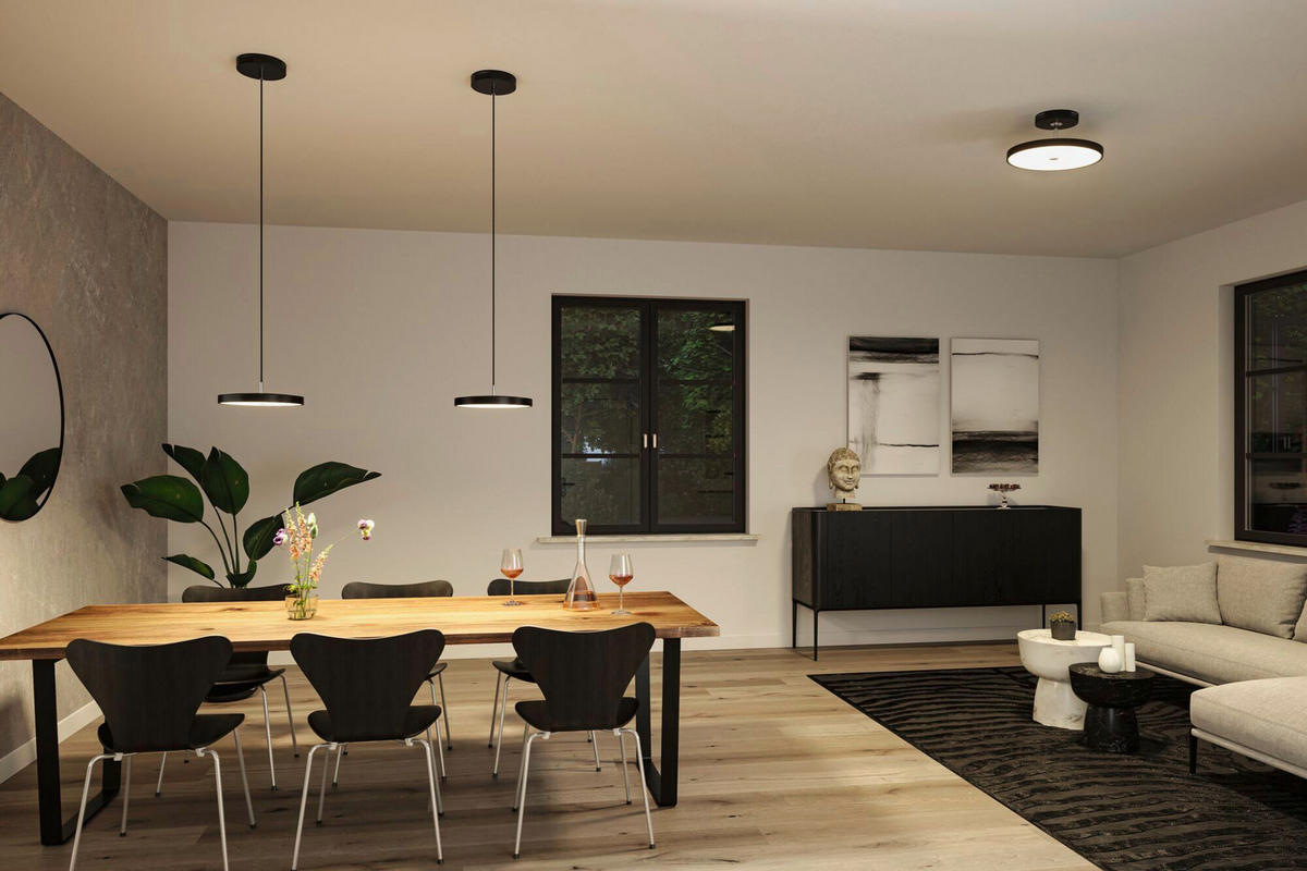 LED-PENDELLEUCHTE Hildor 31/135 cm   - Schwarz, Basics, Kunststoff/Metall (31/135cm) - Paulmann