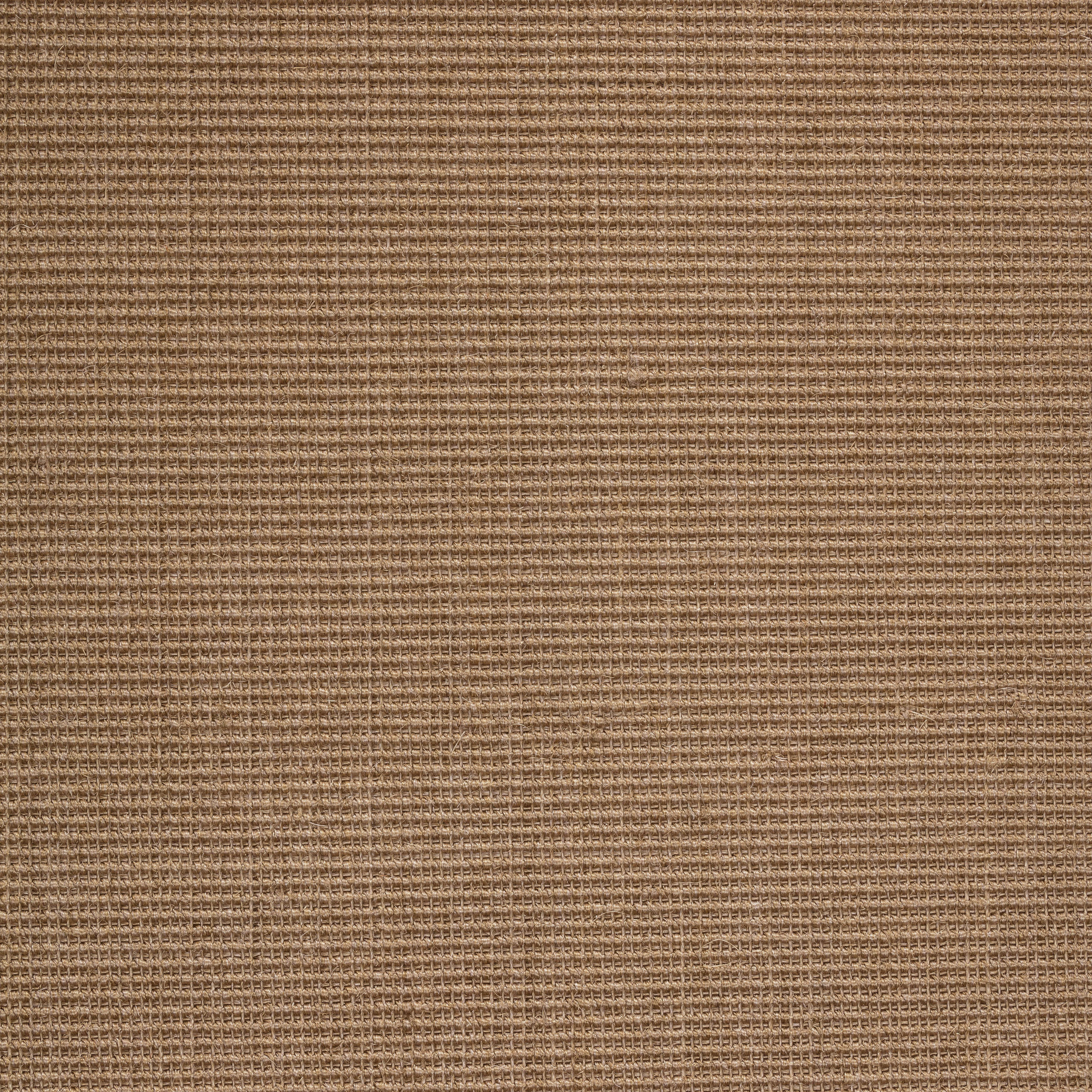 TEPIH  krem, bež     - bež/krem, Osnovno, tekstil/plastika (165/235cm)