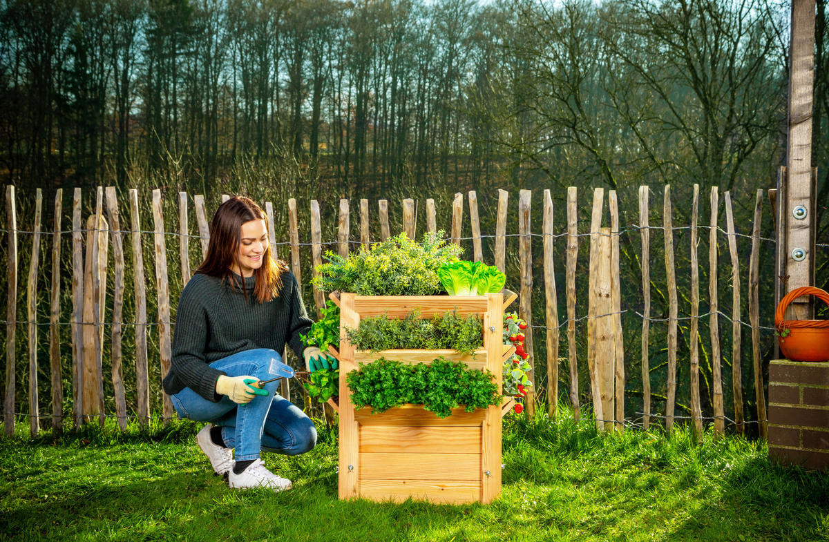 VYVÝŠENÝ ZÁHON   - farba smrekovca, Basics, drevo (65/73/65cm)