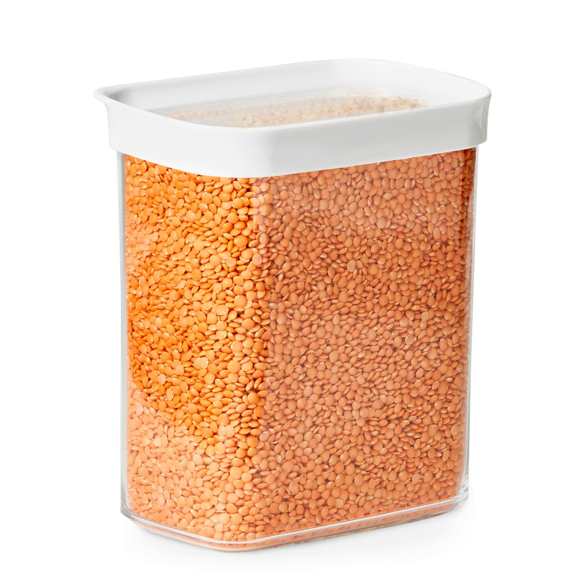 FRISCHHALTEDOSE 1.6 l  - Weiß, Basics, Kunststoff (16,0/9,9/17,5cm) - Emsa