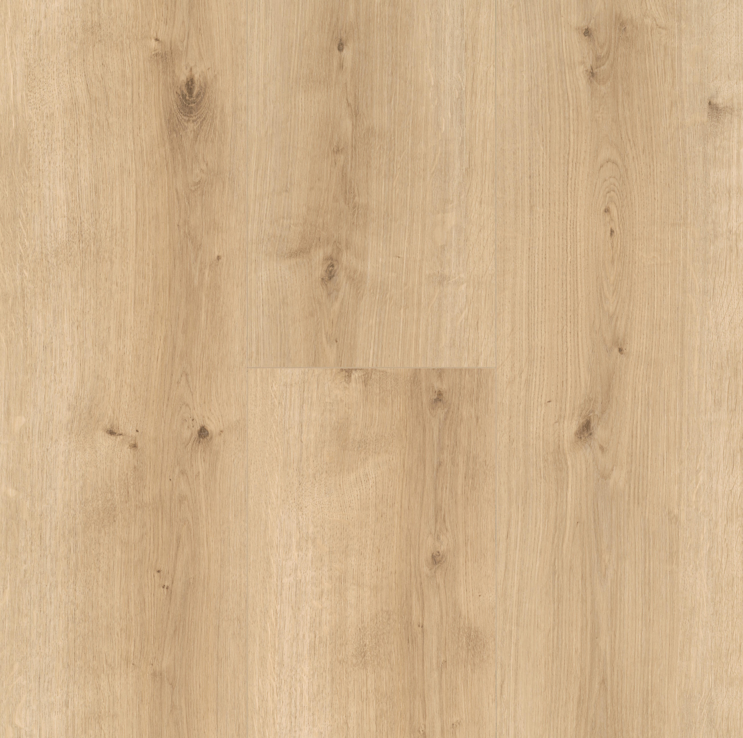 DESIGNBODEN Modular ONE  per  m² - Eichefarben, Design, Holz (220/23.5/0,8cm) - Parador
