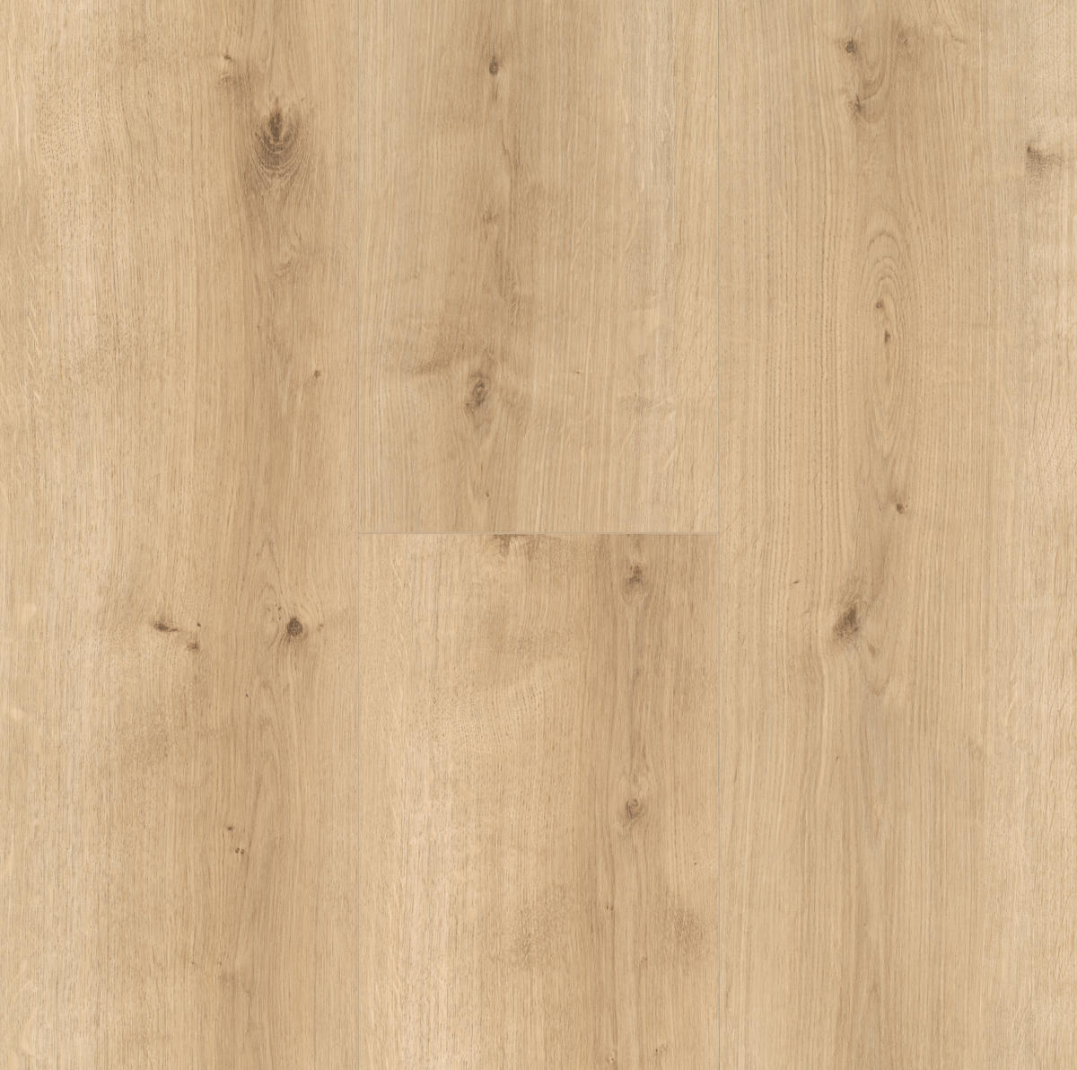 DESIGNBODEN Modular ONE  per  m² - Eichefarben, Design, Holz (220/23.5/0,8cm) - Parador