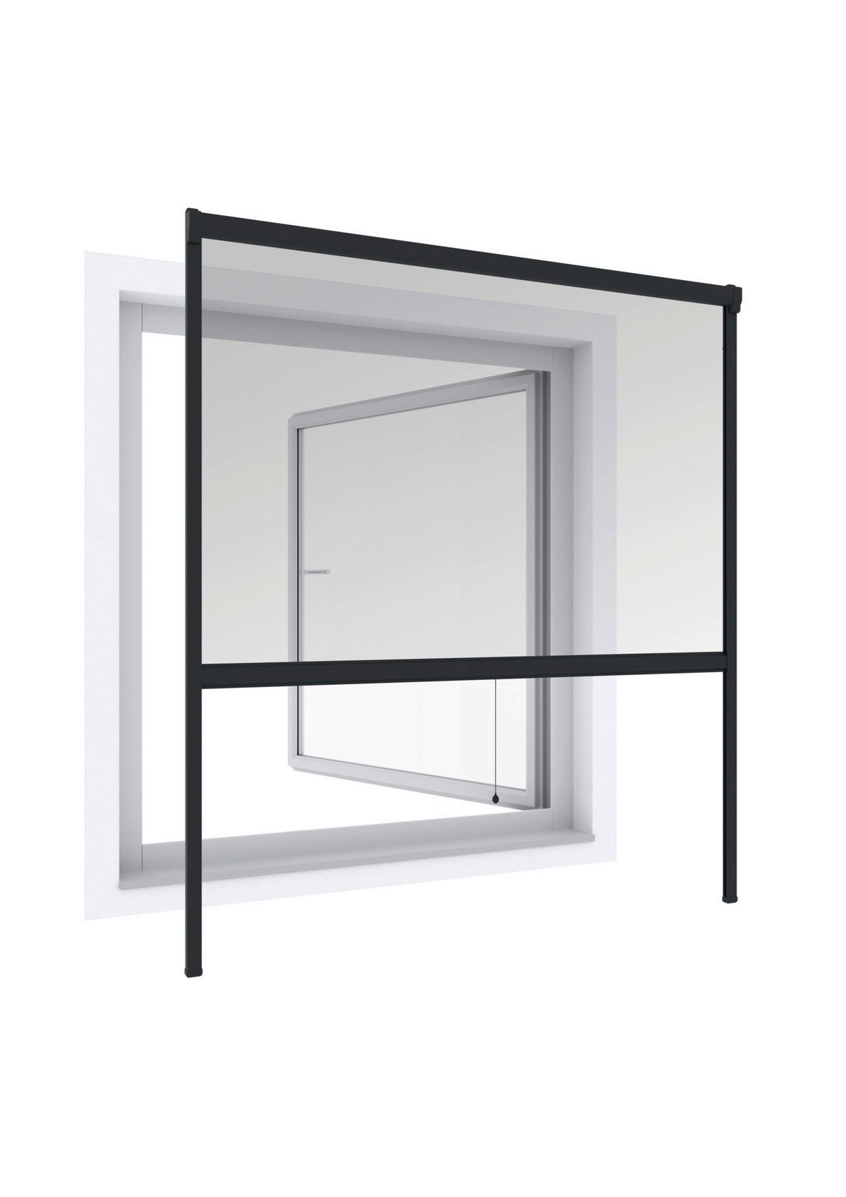 INSEKTENSCHUTZROLLO - Anthrazit, Basics (100/160cm)