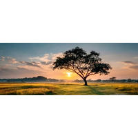 GLASBILD Landschaft & Natur, Essen & Trinken, Bäume  - Multicolor, Basics, Glas (30/80/1.40cm) - Euroart