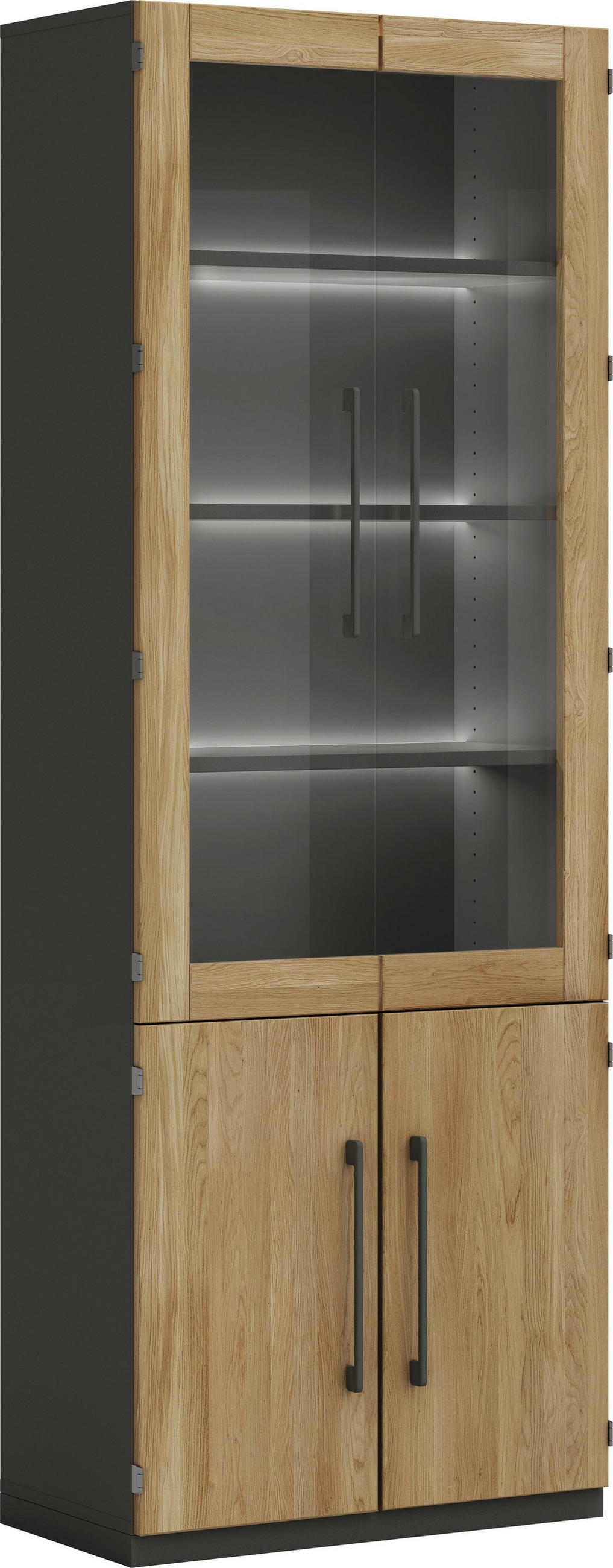 Aktenschrank 80/220,5/42 cm