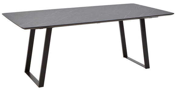 ESSTISCH in Metall, Kunststoff 220/100/76 cm   - Schwarz/Grau, Design, Kunststoff/Metall (220/100/76cm) - Dieter Knoll