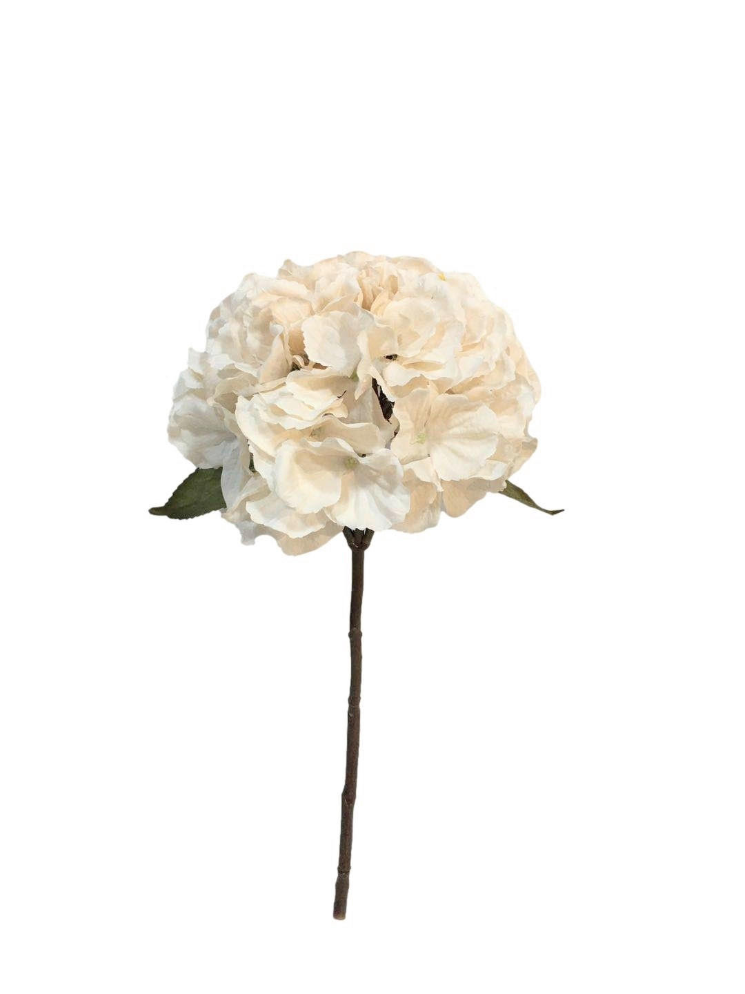 HORTENSIE - Creme/Weiß, LIFESTYLE, Kunststoff (40cm)