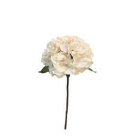 HORTENSIE - Creme/Weiß, LIFESTYLE, Kunststoff (40cm)