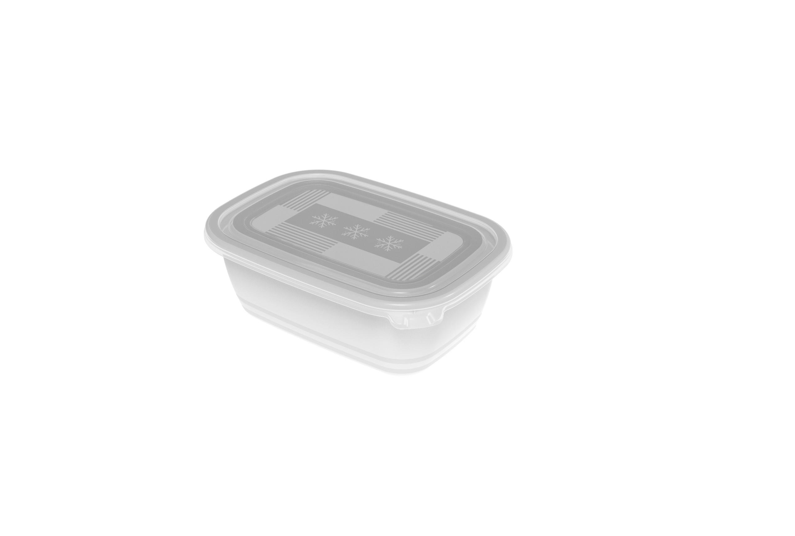 GEFRIERDOSE FREEZE 1 L  - Transparent, Basics, Kunststoff (15,5/11/13,4cm) - Rotho