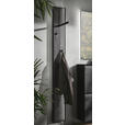GARDEROBENPANEEL  in 20/174/6 cm  - Anthrazit, Design, Holz/Metall (20/174/6cm) - Johann Jakob