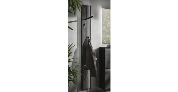 GARDEROBENPANEEL in 20/174/6 cm - Anthrazit, Design, Holz/Metall (20/174/6cm) - Johann Jakob