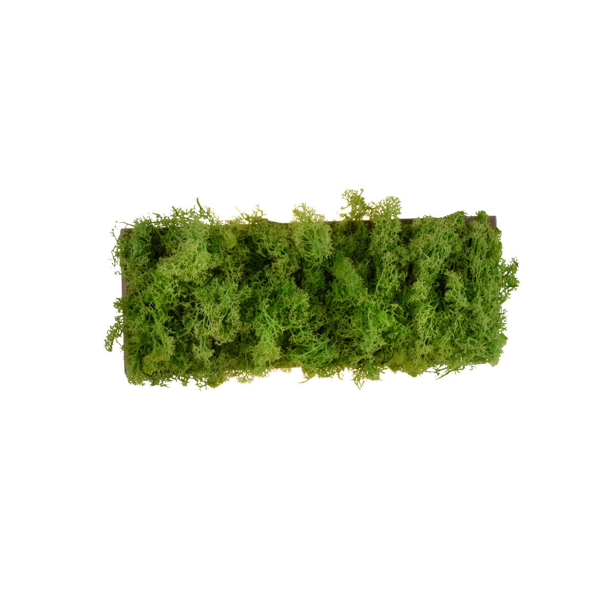 WANDLEUCHTE Carlo 32/6/12 cm   - Natur, Naturmaterialien (32/6/12cm)