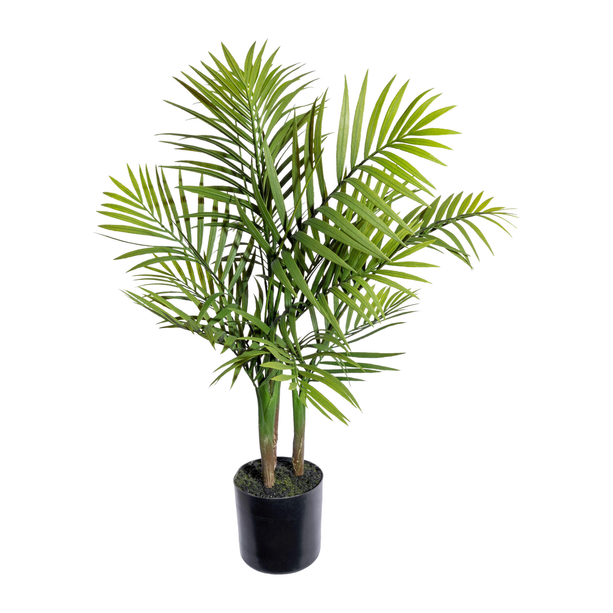 KUNSTPFLANZE Palme 65 cm  - Schwarz/Braun, Design, Kunststoff (65cm) - P & B