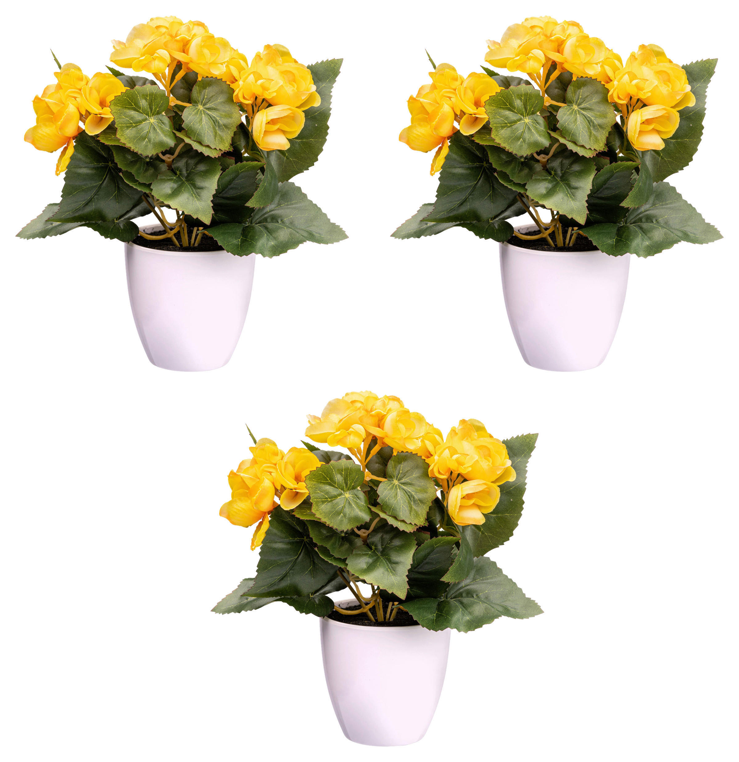 KUNSTPFLANZE 24 cm  - Gelb/Weiß, Design, Kunststoff (24cm) - P & B