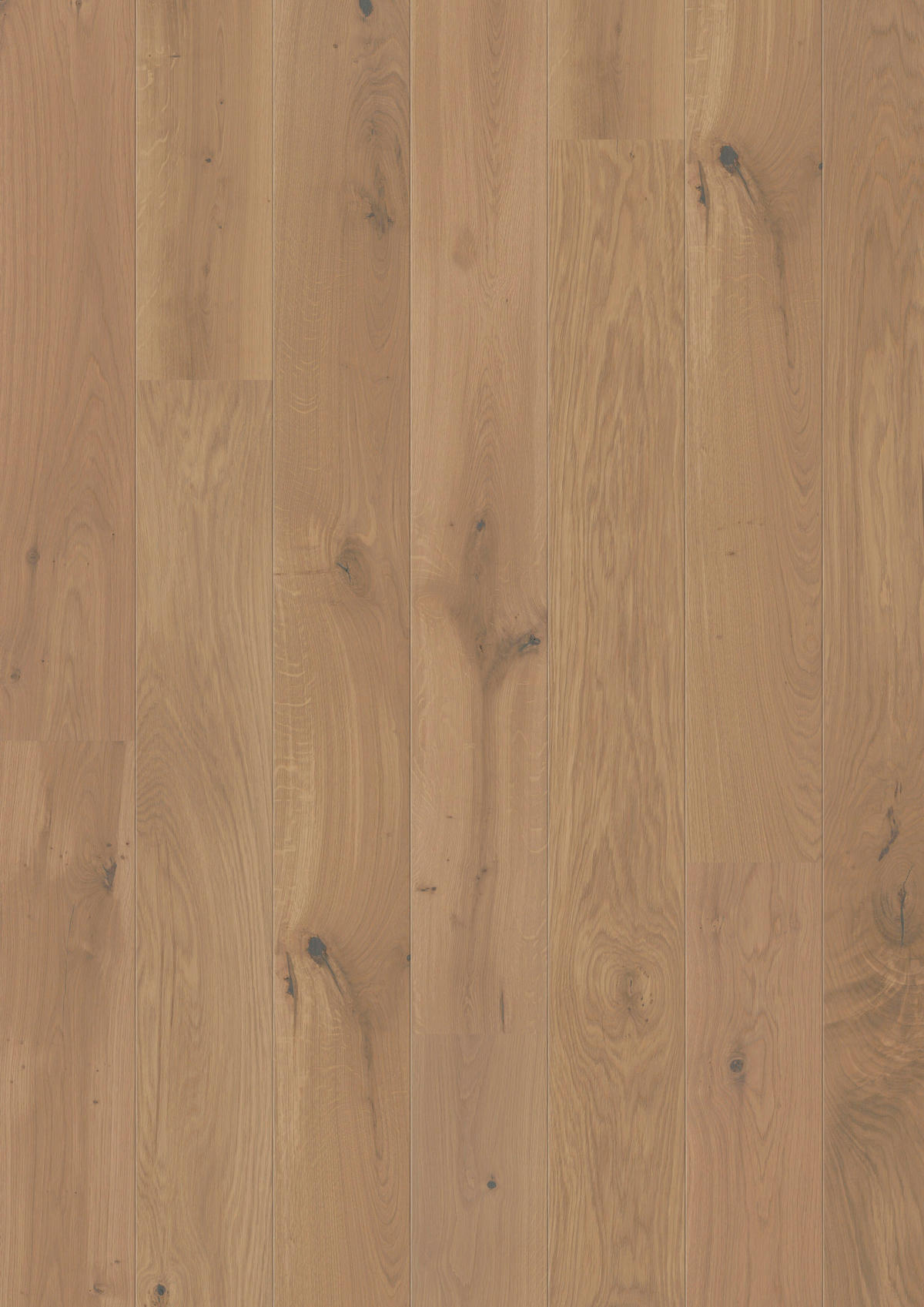 LANDHAUSDIELE Rustico Trend Eiche Champagne 100014901  per  m² - KONVENTIONELL, Holz (220,/17,6/1,3cm) - Tilo