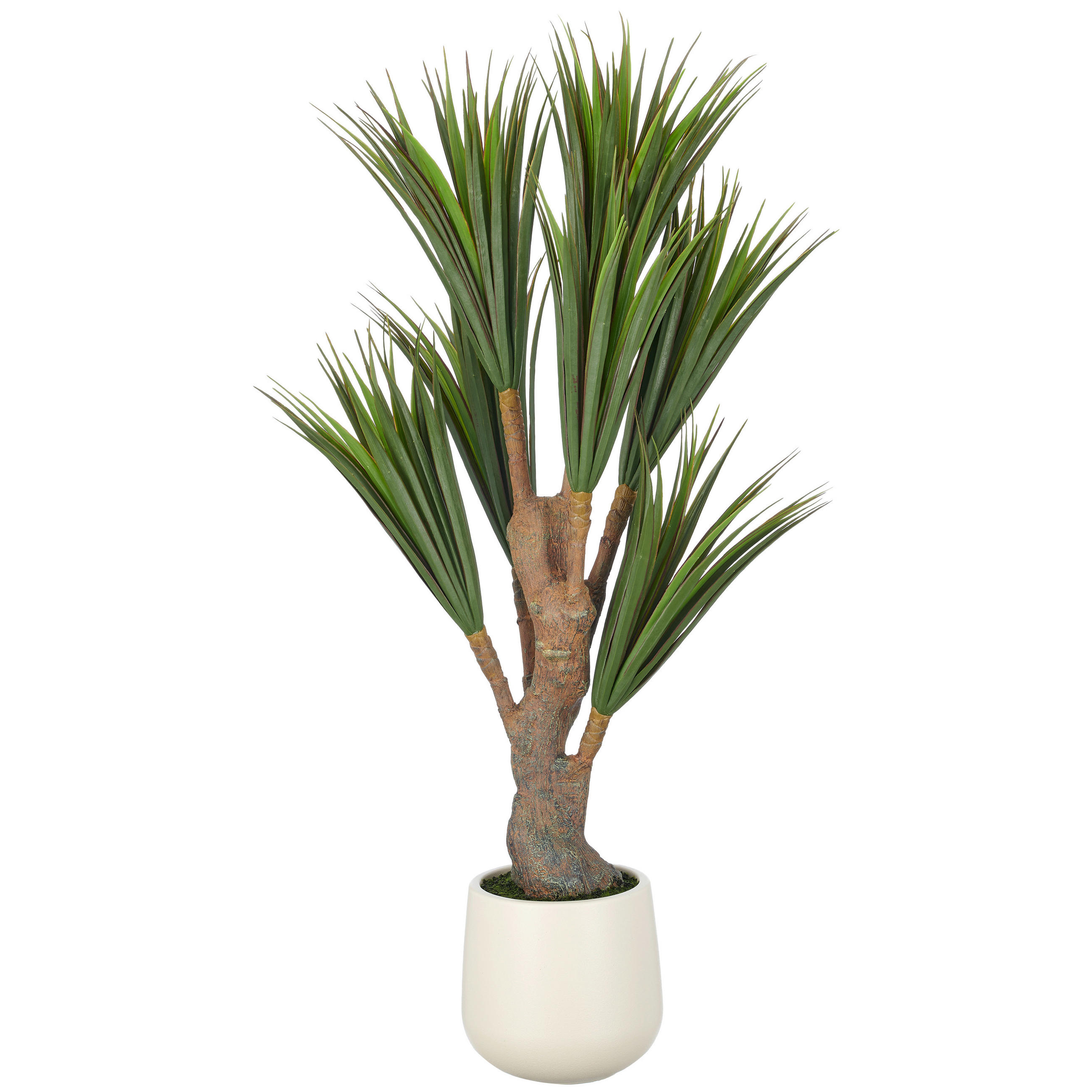 KUNSTPFLANZE Drachenbaum 150 cm  - Creme/Braun, Basics, Kunststoff (150cm)