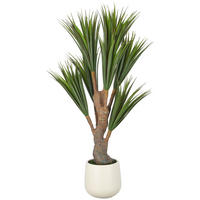 KUNSTPFLANZE Drachenbaum 150 cm  - Creme/Braun, Basics, Kunststoff (150cm)