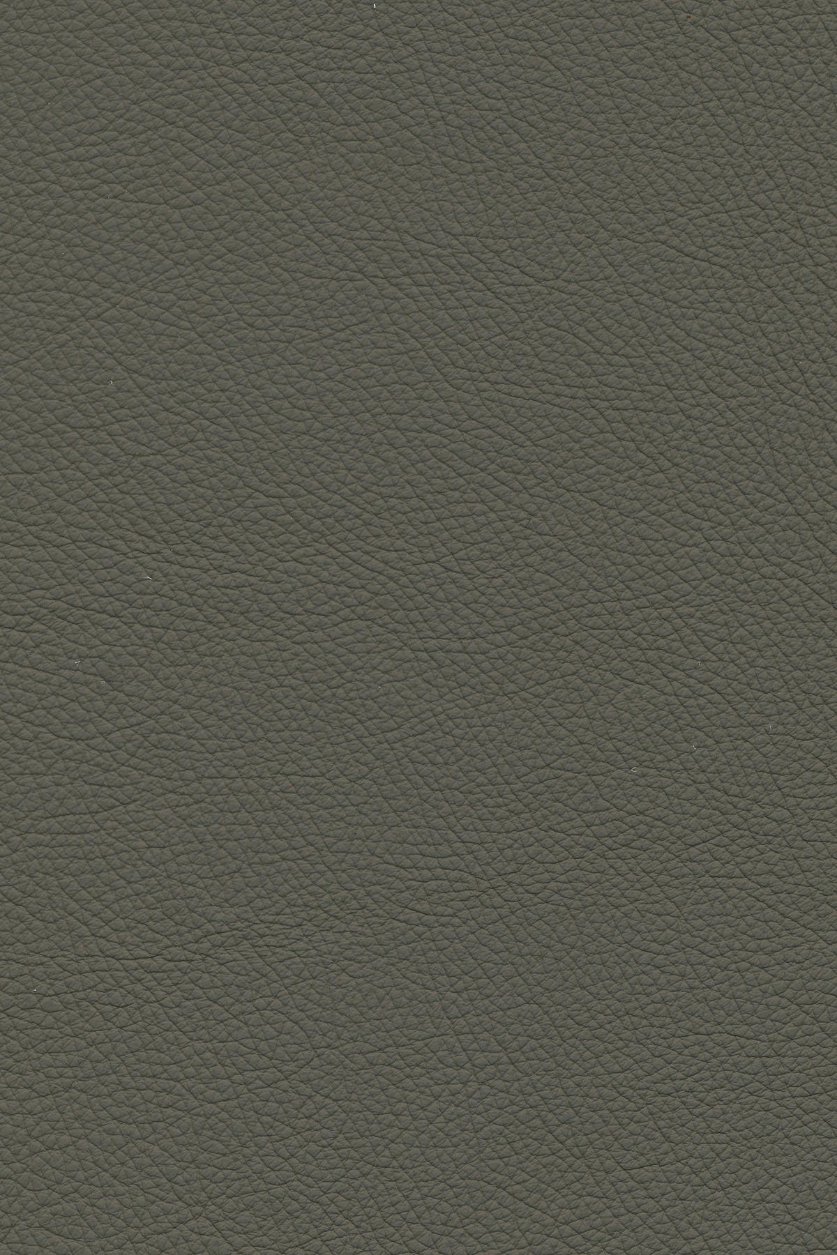 ECKSOFA in Echtleder Graubraun  - Graubraun/Schwarz, Design, Leder/Metall (182/325cm) - Valnatura