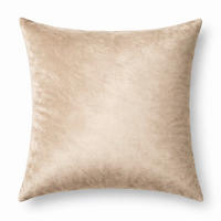 UKRASNI JASTUK    - boja peska, Osnovno, tekstil (50/50cm) - Esposa