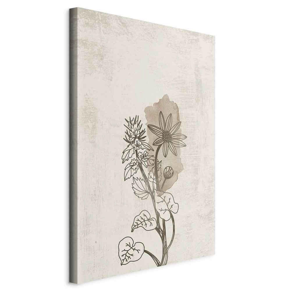 LEINWANDBILD Abstraktes, Blumen 40/60/1,2 cm  - Beige/Grau, Basics, Holzwerkstoff/Textil (40/60/1,2cm) - artgeist