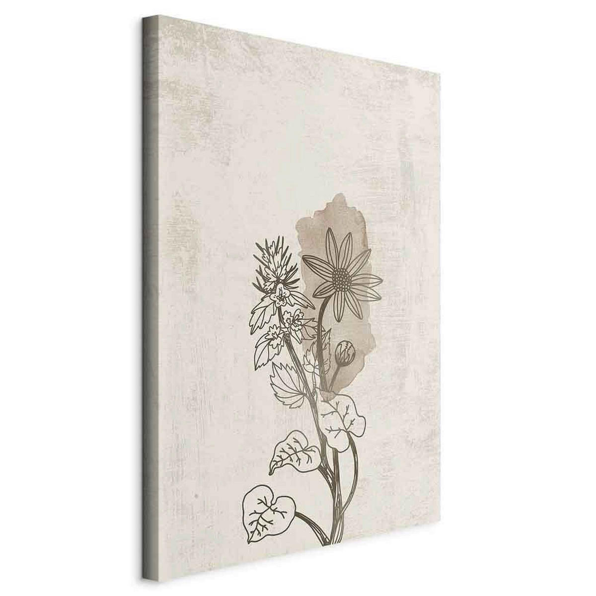 LEINWANDBILD Abstraktes, Blumen 40/60/1,2 cm  - Beige/Grau, Basics, Holzwerkstoff/Textil (40/60/1,2cm) - artgeist