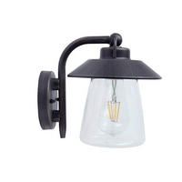 AUßENLEUCHTE Cate 22.5/17.6/20 cm  - Rostfarben, Basics, Glas/Metall (22.5/17.6/20cm)