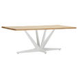 TISCHPLATTE      - Eichefarben, Design, Holz (220/100/4cm) - Landscape