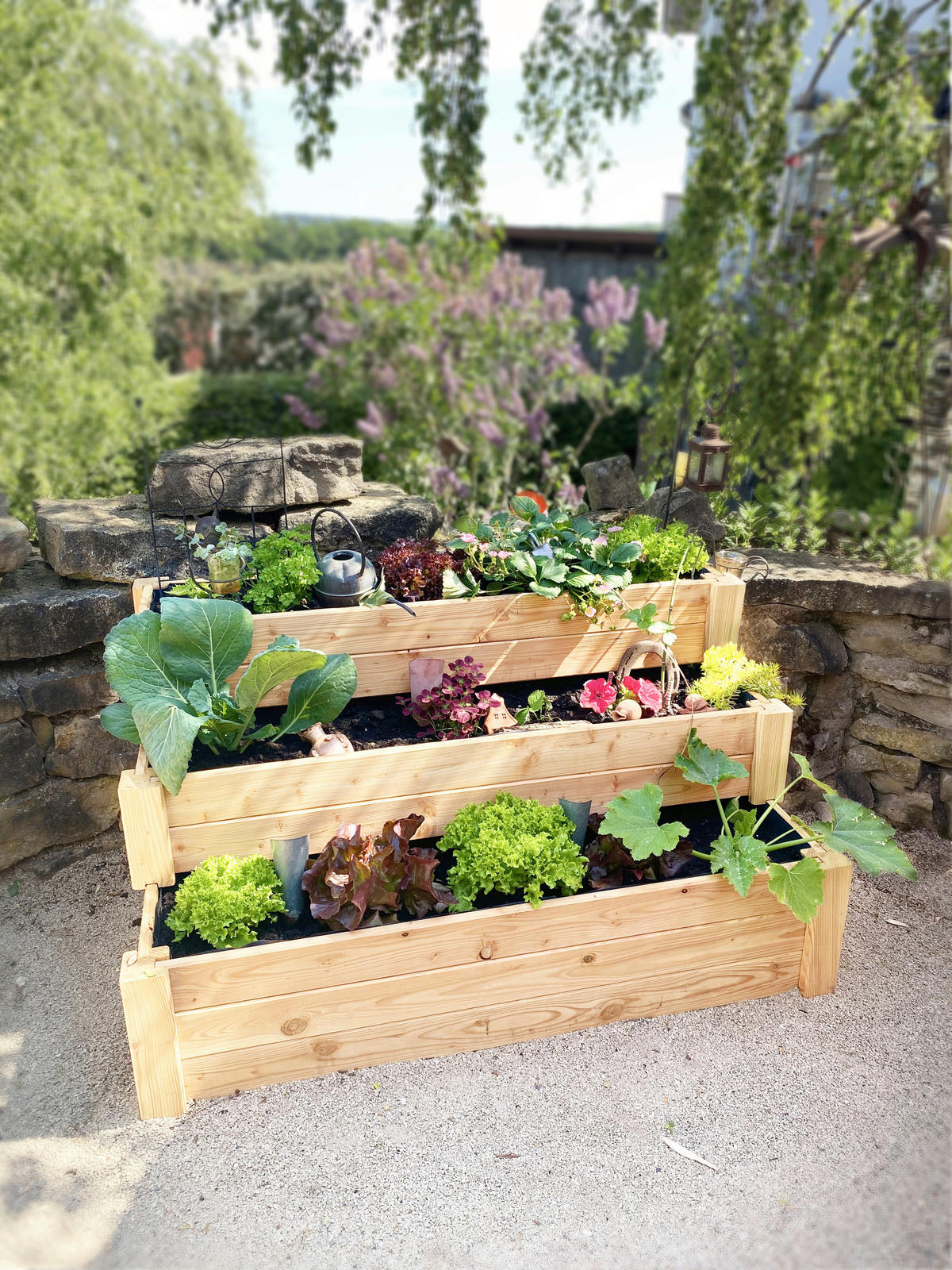 HOCHBEET  - Lärchefarben, Basics, Holz (76/64/120cm) - Ambia Garden