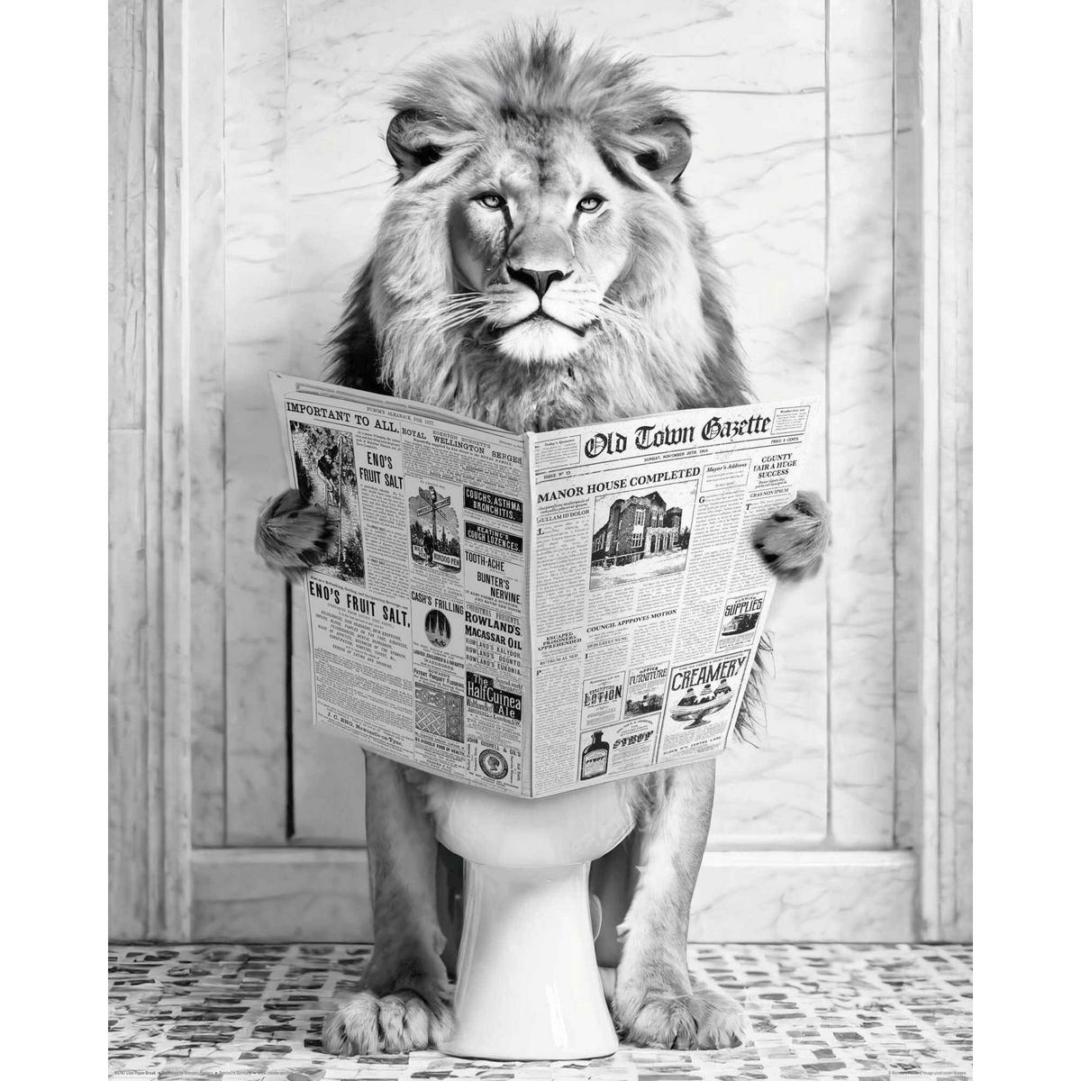 POSTER 40/50 cm  - Multicolor, LIFESTYLE, Papier (40/50cm) - Reinders!