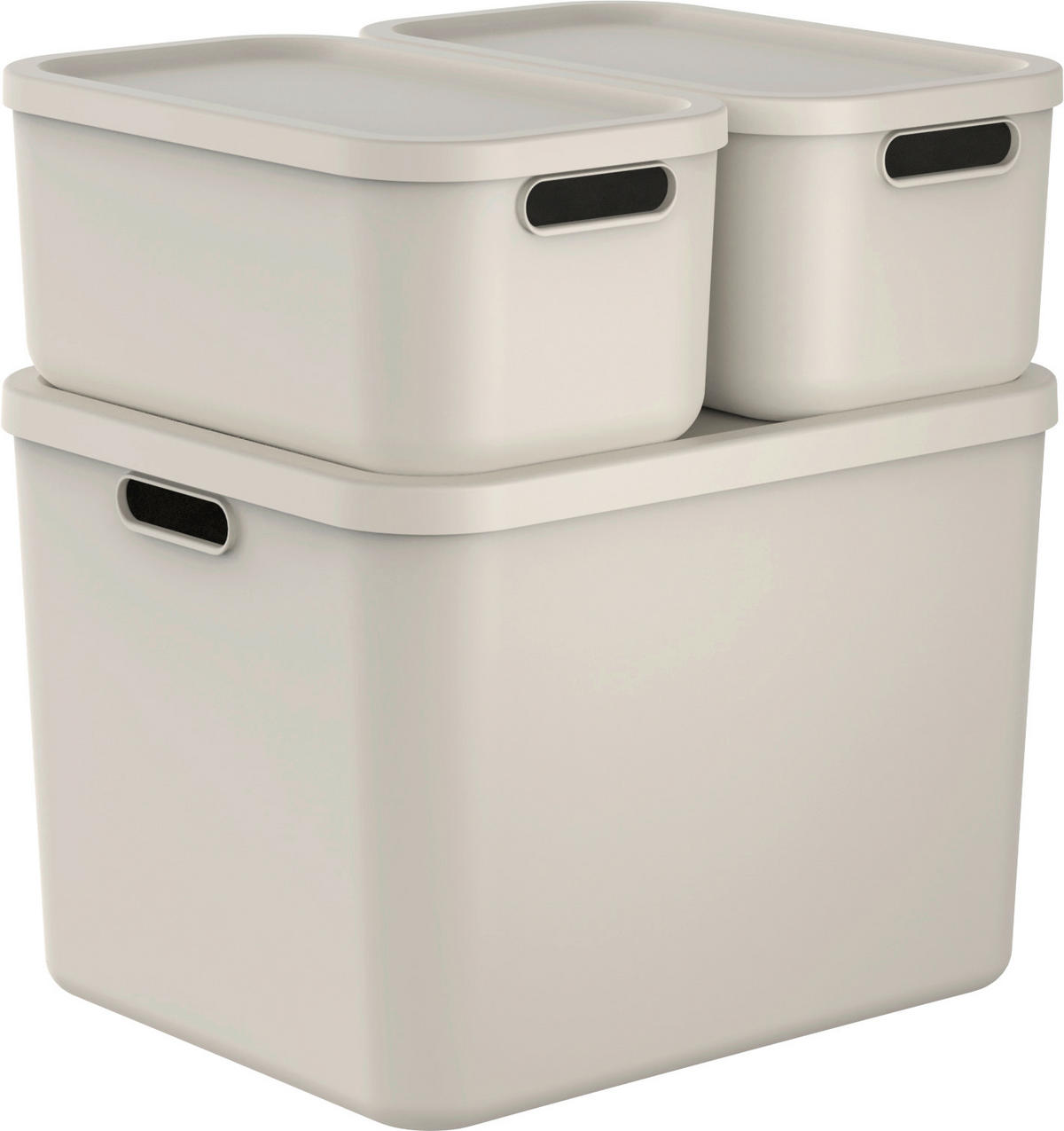 AUFBEWAHRUNGSBOX Albula  - Cappuccino, KONVENTIONELL, Kunststoff (48,9/40,5/34cm) - Rotho