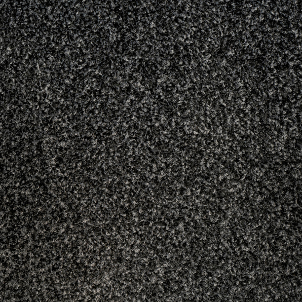 TEPPICHFLIESE 50/50 cm  in Anthrazit  - Anthrazit, Basics, Textil (50/50cm)