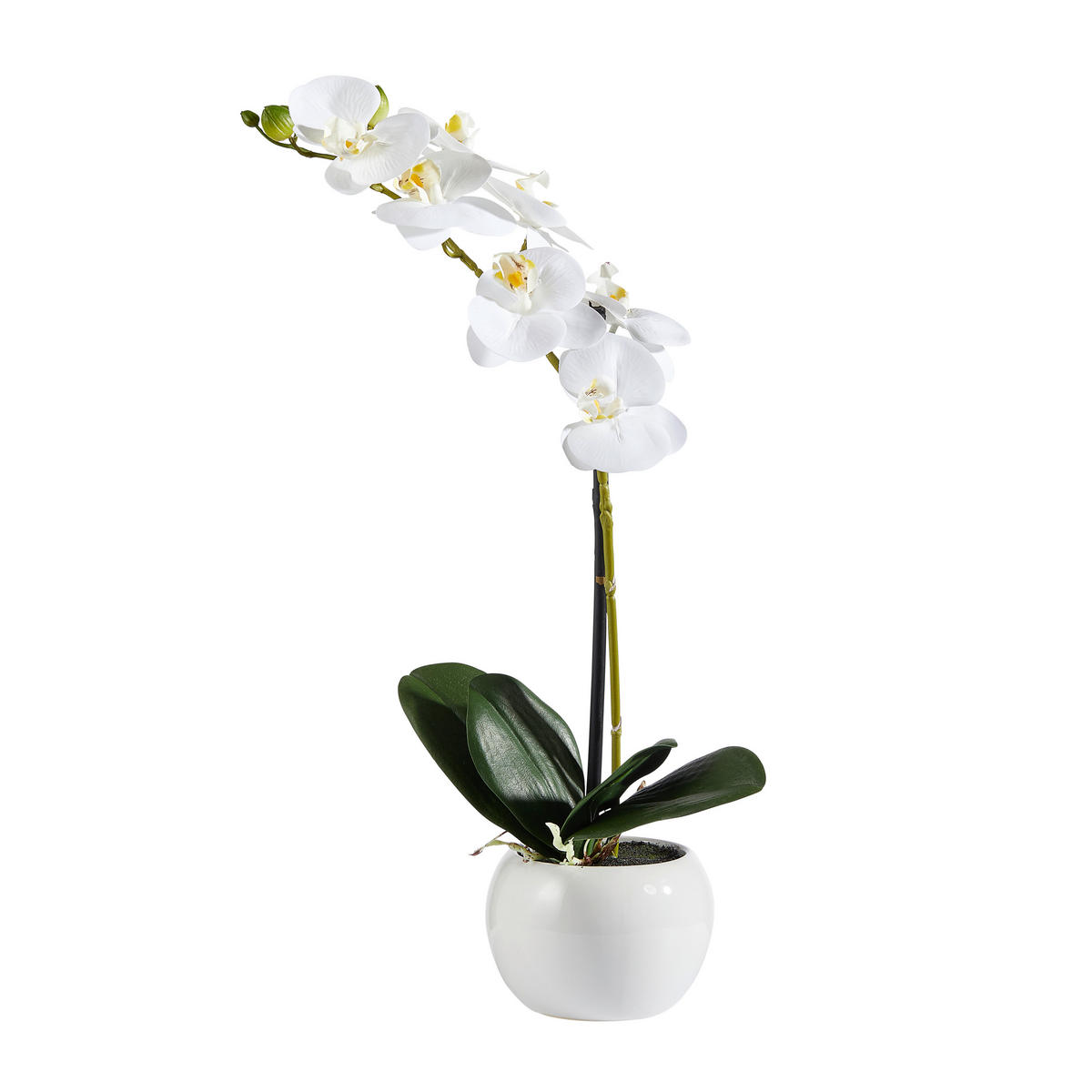 ORCHIDEE - Weiss/Silberfarben, Basics, Keramik/Kunststoff (45cm)