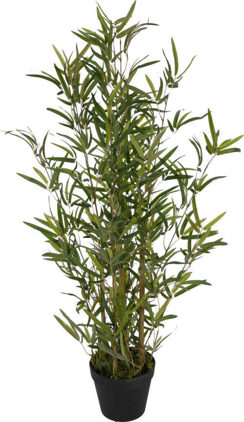 BAMBUS - Basics, plastic (40/40/90cm)